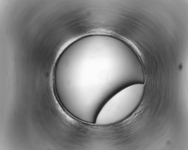 X0000099561387200805160740