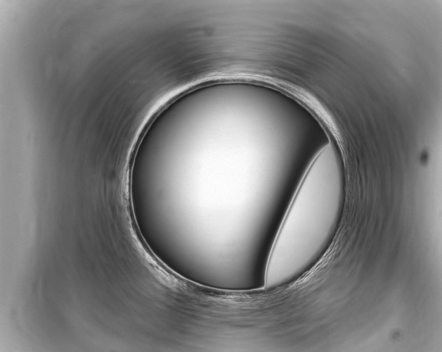X0000099561388200805160740