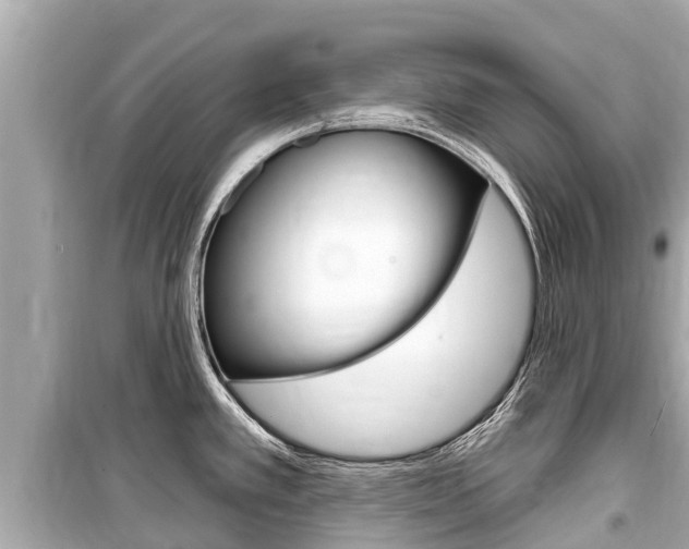 X0000099561389200805160740