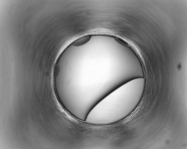 X0000099561390200805160740
