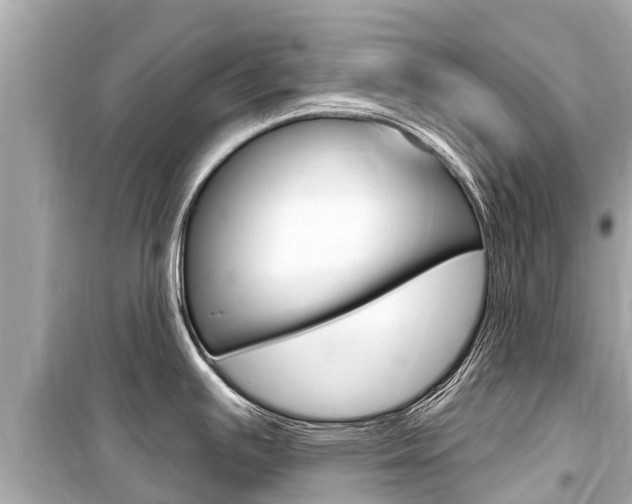 X0000099561391200805160740