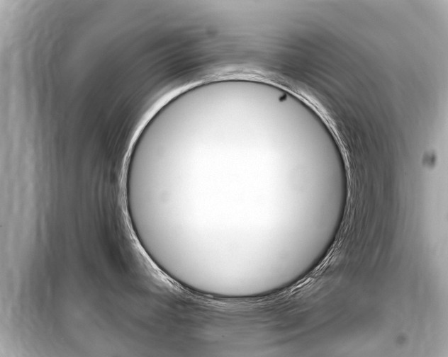 X0000099561392200805160740