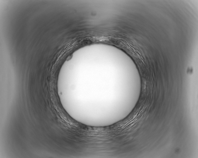 X0000099561393200805160739
