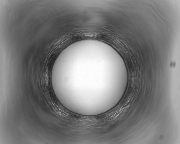 X0000099561394200805160739