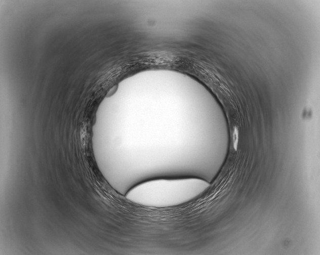 X0000099561395200805160739