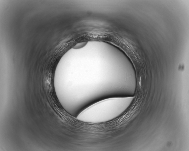 X0000099561396200805160739