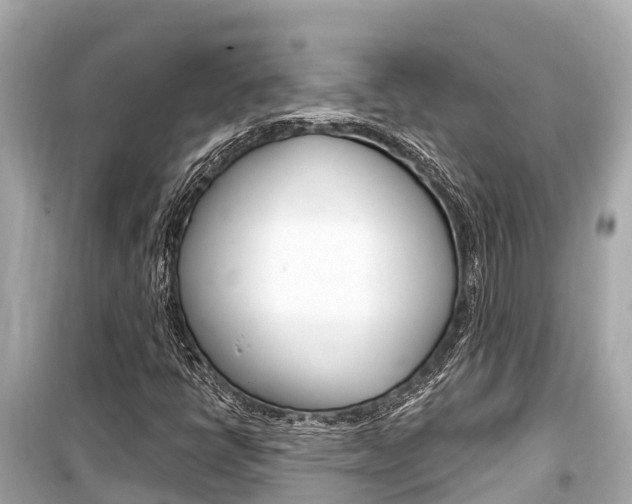 X0000099561398200805160739