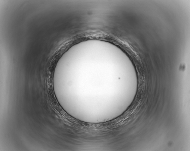 X0000099561399200805160739