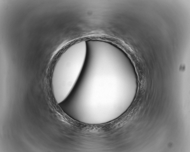 X0000099561400200805160739