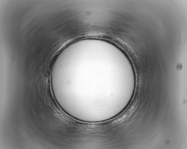 X0000099561401200805160739