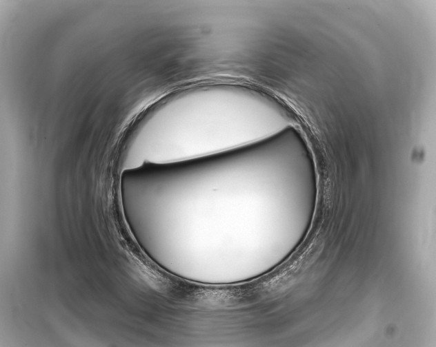 X0000099561402200805160739