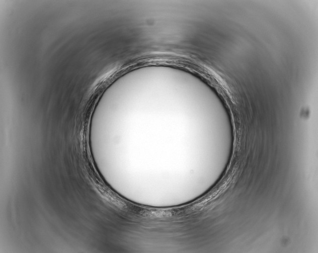 X0000099561403200805160739