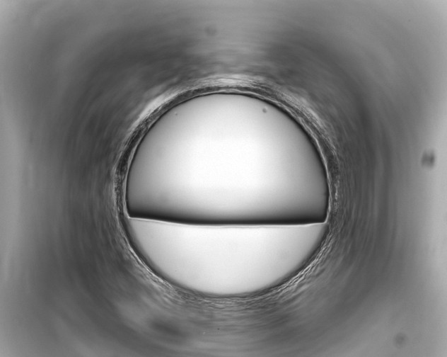 X0000099561404200805160739