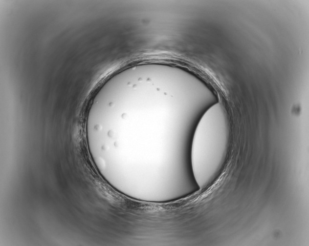 X0000099561405200805160739