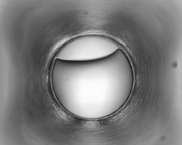 X0000099561406200805160739