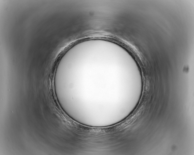 X0000099561407200805160739