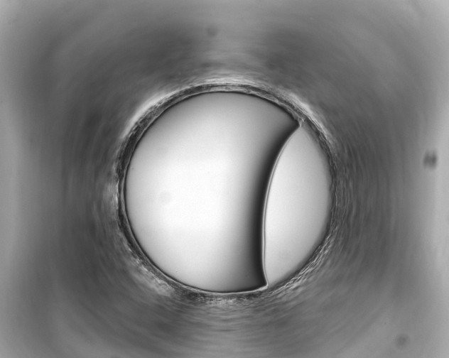 X0000099561408200805160739