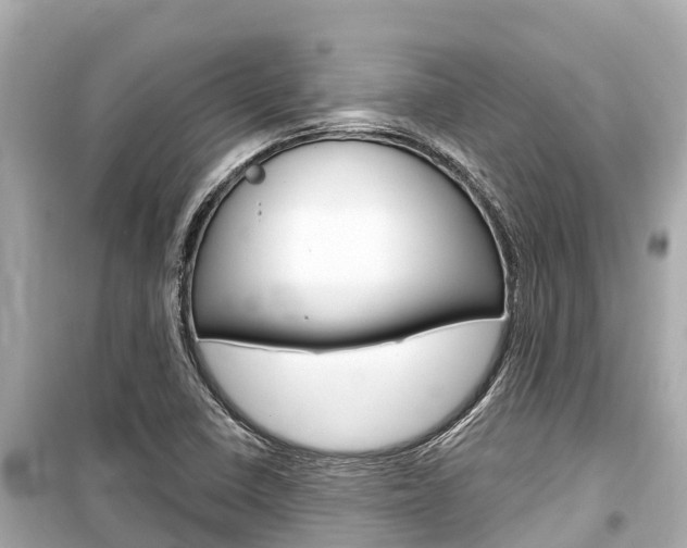 X0000099561410200805160739