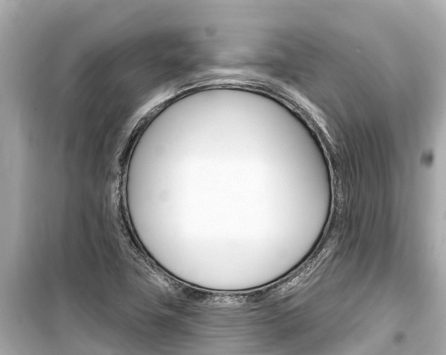 X0000099561411200805160739