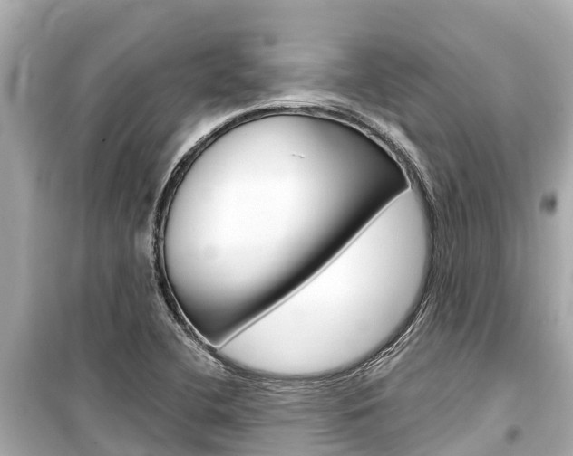 X0000099561412200805160739