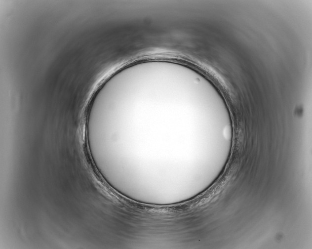 X0000099561413200805160739