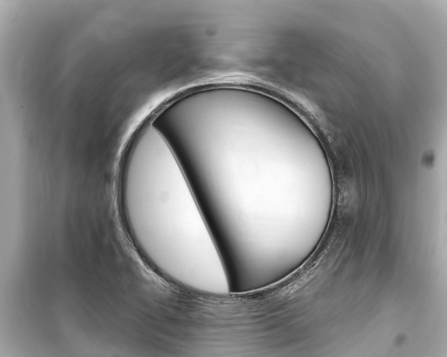 X0000099561414200805160739