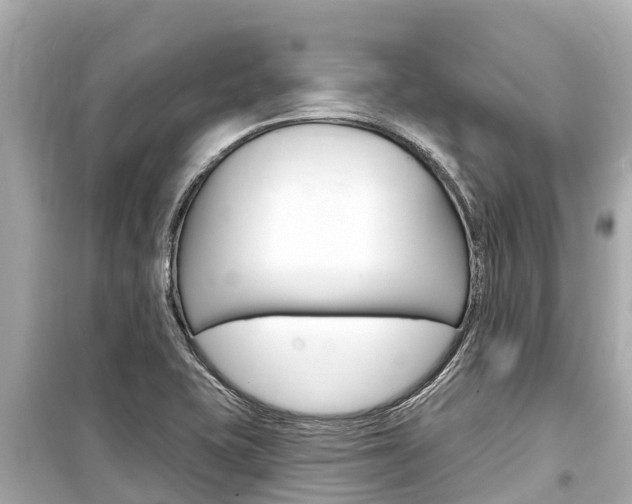 X0000099561415200805160739
