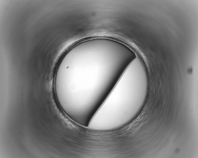 X0000099561416200805160739