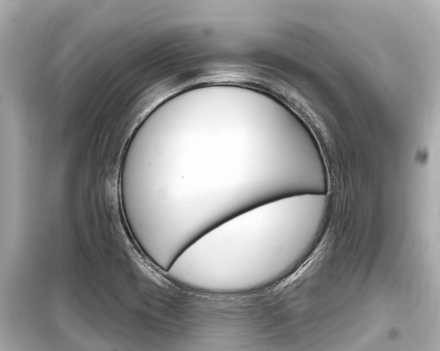 X0000099561417200805160739