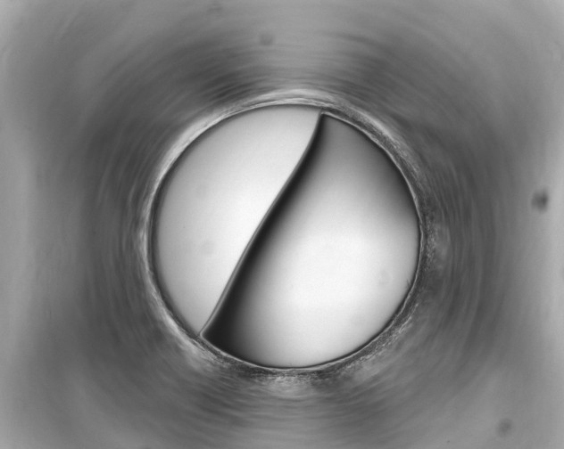 X0000099561418200805160739