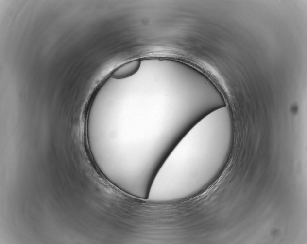 X0000099561419200805160739
