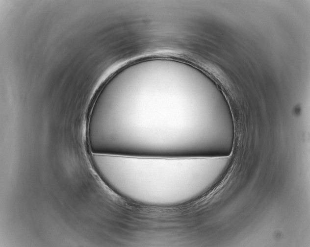 X0000099561420200805160739