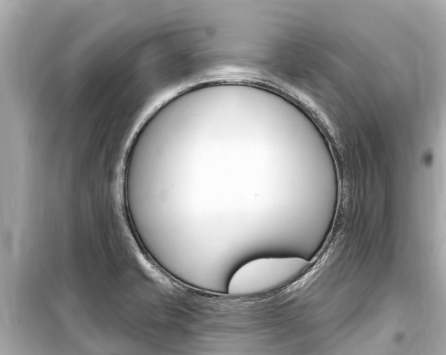 X0000099561421200805160739