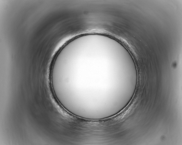 X0000099561422200805160739