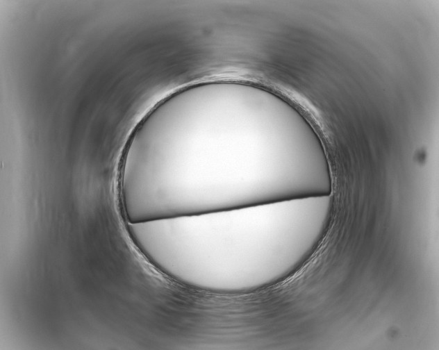 X0000099561423200805160739