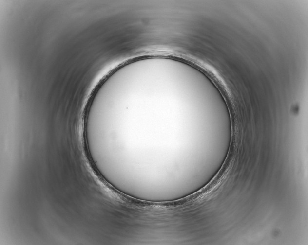 X0000099561424200805160739