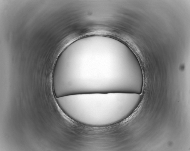 X0000099561425200805160739