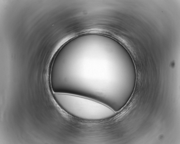 X0000099561426200805160739