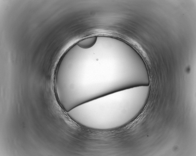 X0000099561427200805160739