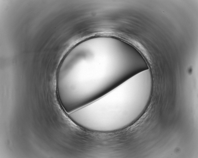 X0000099561428200805160739