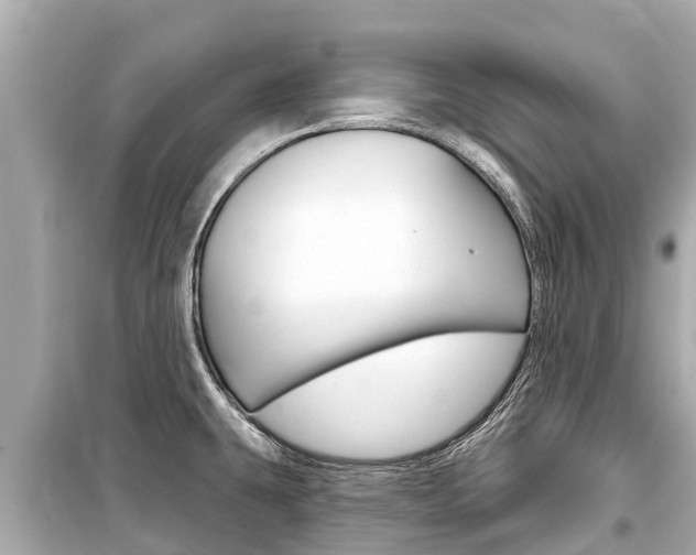 X0000099561431200805160739
