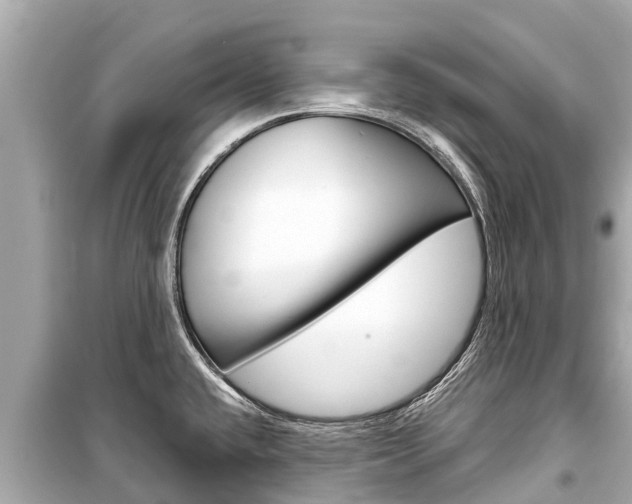 X0000099561432200805160739