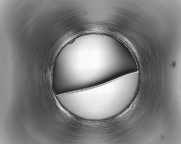 X0000099561433200805160739
