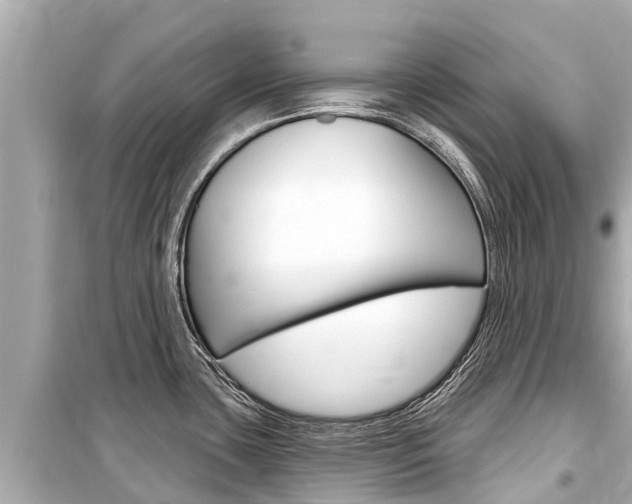 X0000099561435200805160740