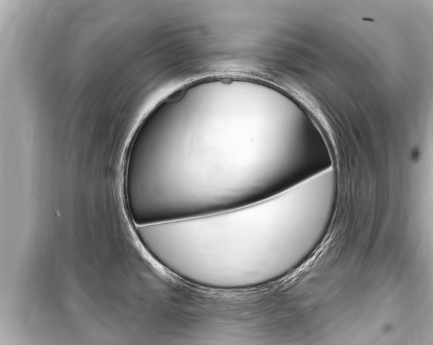 X0000099561437200805160740