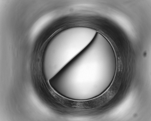 X0000099561438200805160740