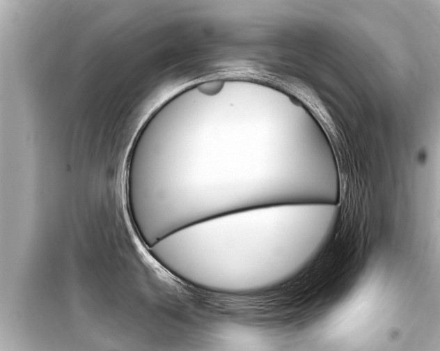 X0000099561439200805160740