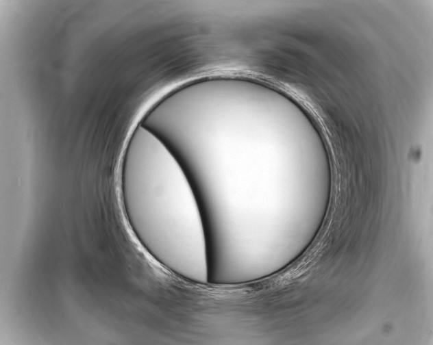 X0000099561440200805160740