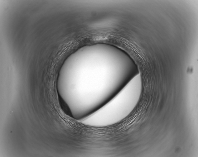 X0000099561441200805160739