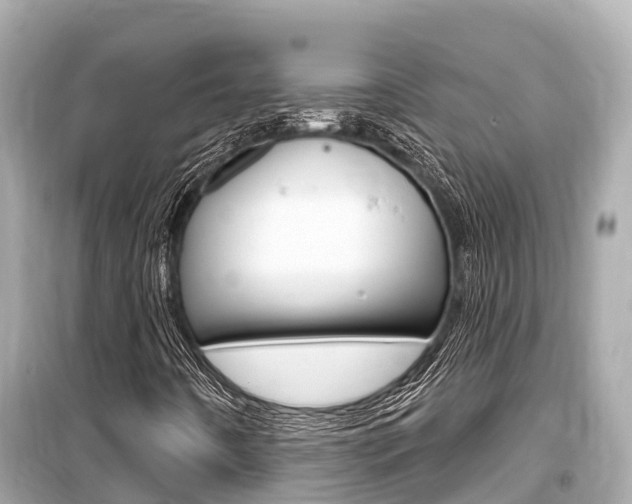 X0000099561442200805160739